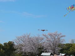 -上海滨江森林公园