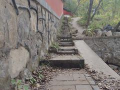 -阳台山自然风景区