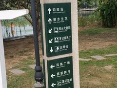 -月湖风景区