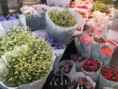 -溪岸路花鸟市场