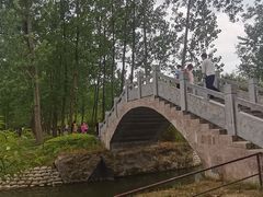 -合肥滨湖国家森林公园