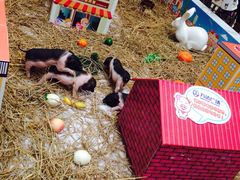 -万达广场(南宁青秀店)