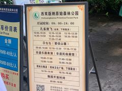 -西双版纳原始森林公园