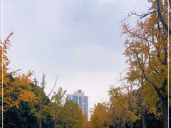 -苏州河梦清园环保主题公园