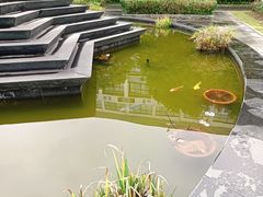 -杭州电子信息职业学校(丁桥校区)