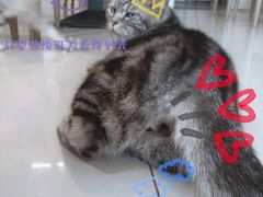 -平行世界·猫咖(首经贸店)
