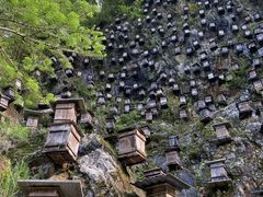 -神农架景区
