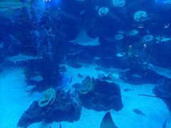 -成都浩海立方海洋公园