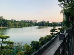 -渭滨公园