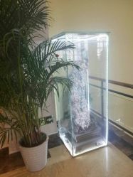 店内环境-美雅枫医疗美容医院
