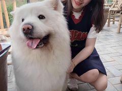 -远山有窑