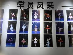 -中央芭蕾舞团·中芭艺蕾(酒仙桥明星校区)