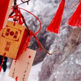 老君山—如果没有遇见你，这个冬天真的毫无颜色画中游 仙之境！