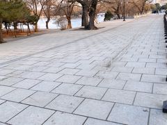 -北陵公园