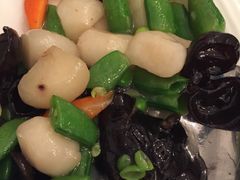 -素心小筑(后沙裕镇店)