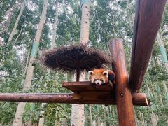 -北京野生动物园