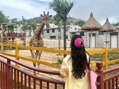 -西霞口神雕山野生动物世界