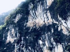 -田野绿世界