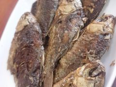 -独流饭店(静海区国土资源分局西)