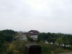 -大湾区中央湿地公园