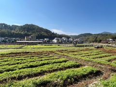 -红山村