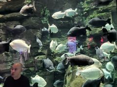 -成都浩海立方海洋公园