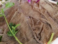 -一天好养生火锅·衢州人自己的火锅(阳光水岸店)