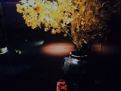 -觀芷隐轩