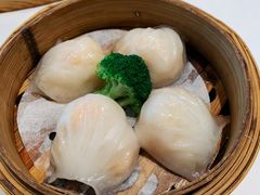 -粤式早茶希朋喜宴