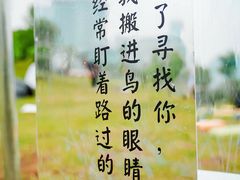 -桂溪生态公园