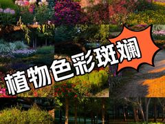 -海淀公园