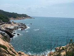 -广东惠东海龟国家级自然保护区