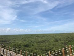 -北海金海湾红树林生态旅游区