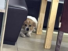-农民烧烤(延边社区店)