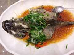-新世纪大酒楼·30年南海菜