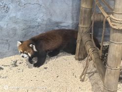 -Zoolung Zoolung动物主题公园(海信广场店)