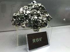 黄铁矿-甘肃地质博物馆