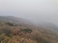 -紫金山山顶公园