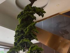 -正清和·推拿养生(二七广场店)