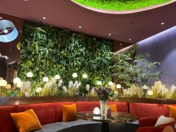 -花隐·美芙炫海菲秀皮肤管理中心