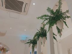 -春树下·树屋花房西餐厅(罍街AS1980店)