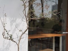 -COTTON CAFE(德信·中外公寓店)