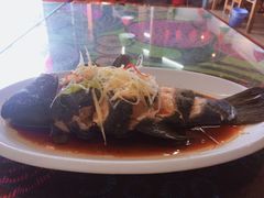 -小厨子私房菜·云南美食店