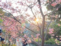 -乌山风景区