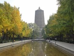 -玲珑塔公园