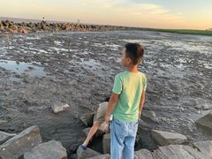 -南汇嘴观海公园