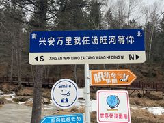 -汤旺河林海奇石景区