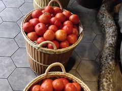 -蕃茄述·好汤自然来(江汉路店)