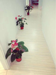 iphone_upload_pic-余祖萍专业经络瘦身