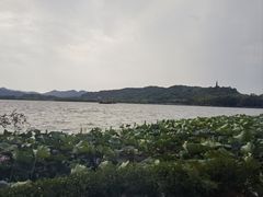 -湖畔居茶楼(湖滨店)